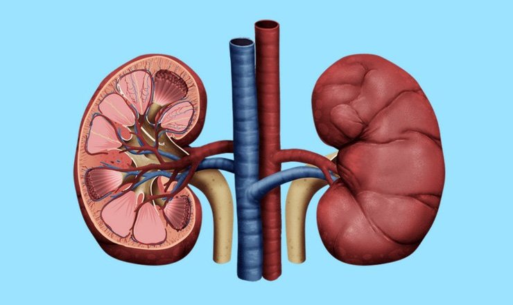 Waterlogged Woes: Understanding SIADH (Syndrome of Inappropria...